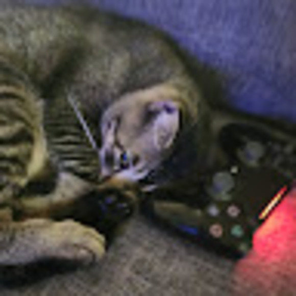 Meet your Posher, Aj - Picture 1 of 1